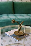 Cation on the Guadalupe