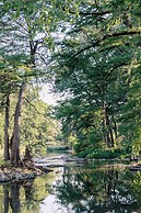 Cation on the Guadalupe