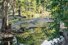 Cation on the Guadalupe