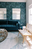 Cation on the Guadalupe