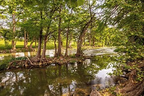 Cation on the Guadalupe
