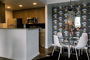 Cation on the Guadalupe