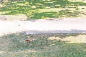 Cation on the Guadalupe