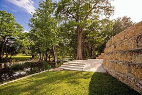 Cation on the Guadalupe