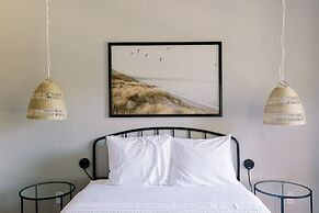 Cation on the Guadalupe