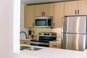 Cation on the Guadalupe