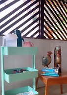 San José HOUSE