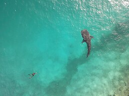 Thundi village and spa