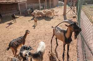 La Ferme Berbère Tahanaout