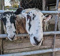 The Dairy at Brackenthwaite Farm