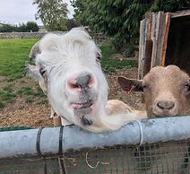 The Dairy at Brackenthwaite Farm