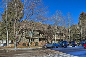 Charming Aspen Retreat - Bus To Ski Areas 2 Bedroom Condo by Redawning