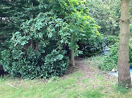 Woodlands Basic Bell Tent 2