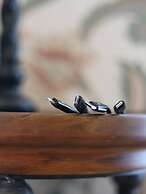 The Adams Pragge House