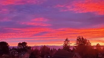 The Adams Pragge House