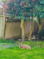 The Adams Pragge House