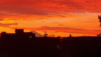 The Adams Pragge House