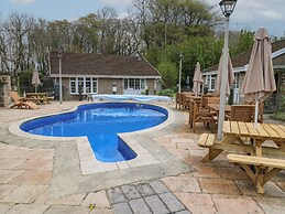 Badger Sett in Granite Henge Near Looe