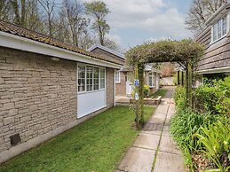 Badger Sett in Granite Henge Near Looe