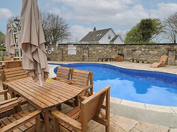 Badger Sett in Granite Henge Near Looe