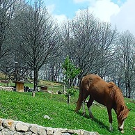 Ani Resort
