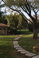 Slowness - Kibbutz Moran