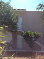 Amaryllis Front Beach Hotel