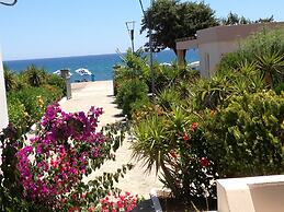 Amaryllis Front Beach Hotel