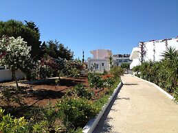 Amaryllis Front Beach Hotel