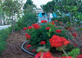 Amaryllis Front Beach Hotel