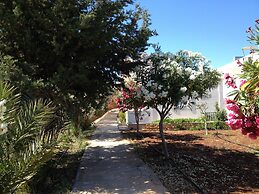 Amaryllis Front Beach Hotel