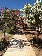 Amaryllis Front Beach Hotel
