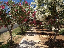 Amaryllis Front Beach Hotel
