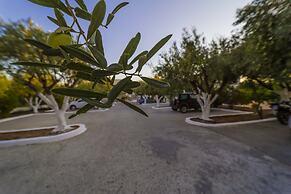 Amaryllis Front Beach Hotel