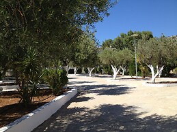 Amaryllis Front Beach Hotel