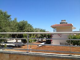 Amaryllis Front Beach Hotel