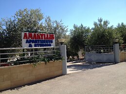 Amaryllis Front Beach Hotel