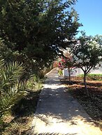 Amaryllis Front Beach Hotel