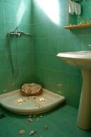 Amaryllis Front Beach Hotel