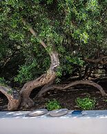 Vico San Lorenzo - Camere a Salina