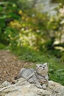 Proud Phu Fah Muang Chiang Mai