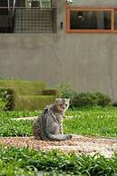 Proud Phu Fah Muang Chiang Mai