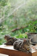 Proud Phu Fah Muang Chiang Mai