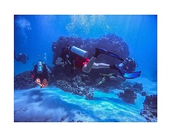 Milos AquaBliss Beachfront Villa