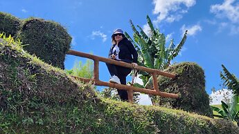 CONTAINER & HOBBIT GLAMPING