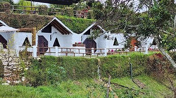 CONTAINER & HOBBIT GLAMPING