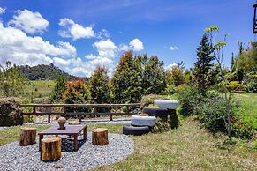 CONTAINER & HOBBIT GLAMPING