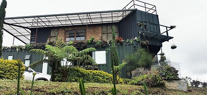 CONTAINER & HOBBIT GLAMPING