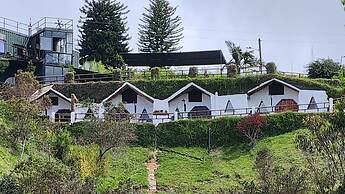 CONTAINER & HOBBIT GLAMPING