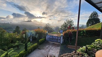 CONTAINER & HOBBIT GLAMPING